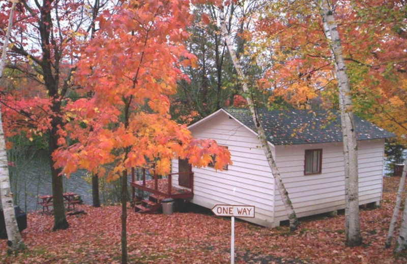Cottage exterior at Northern Lights Resort.