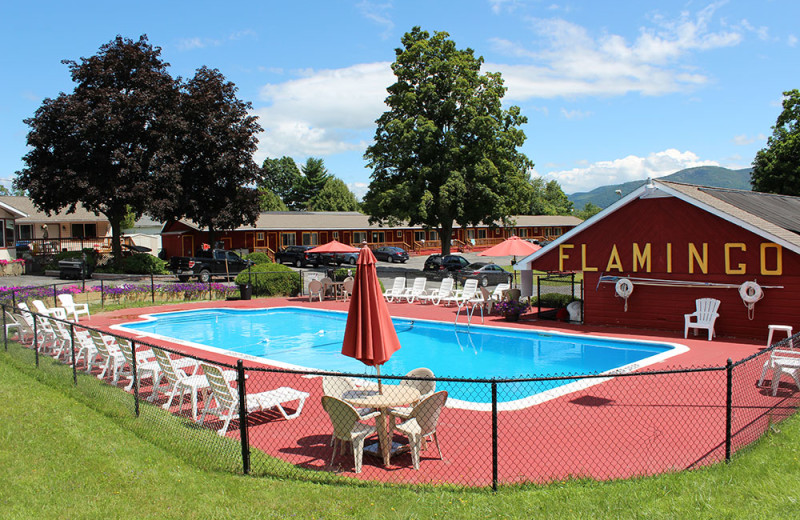 Outdoor pool at Flamingo Resort.