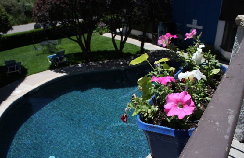 Pool at St. Moritz Lodge & Condominiums.