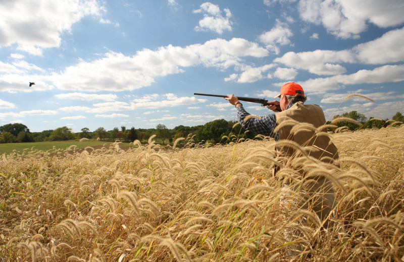 Bird hunting at Harpole's Heartland Lodge.