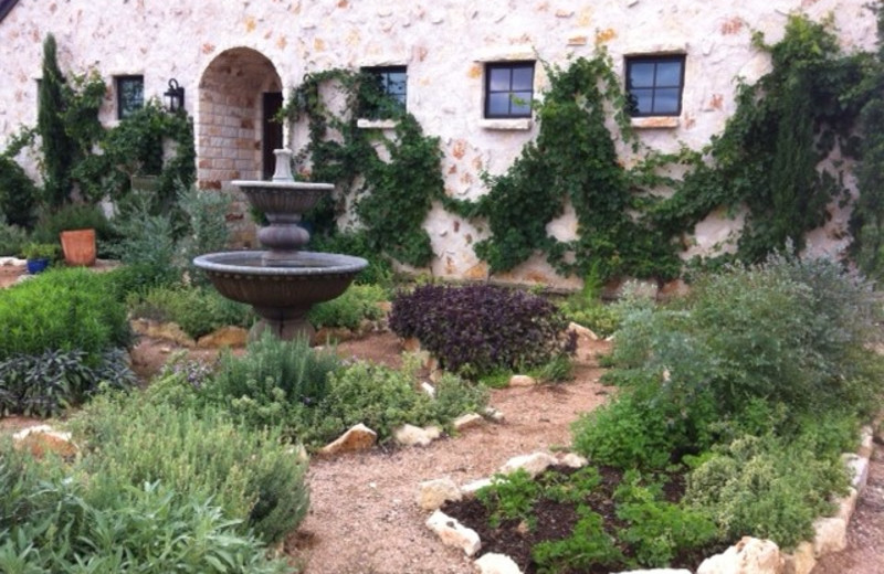 Herb garden at The Vineyard at Florence.