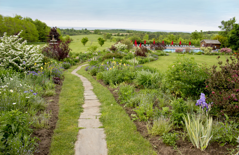 Walking trail at Ste. Anne's Spa.