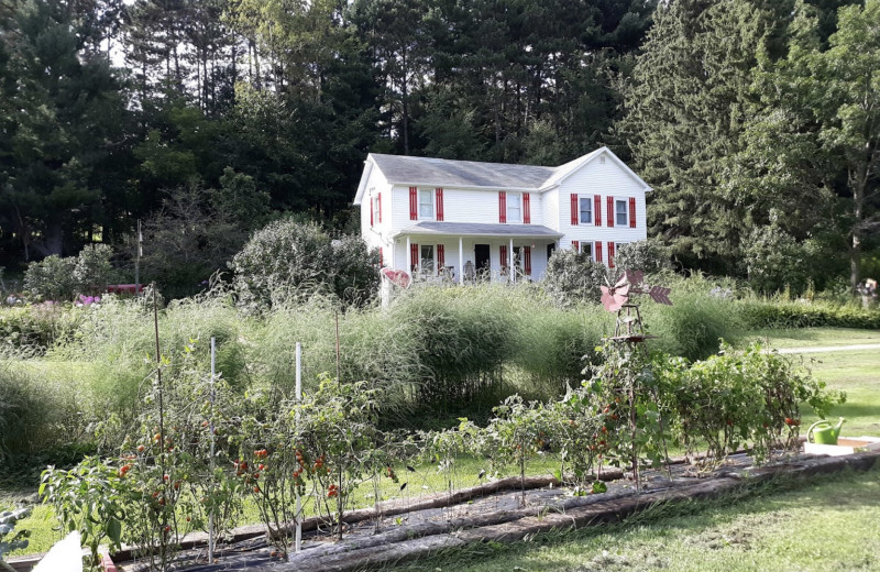 Exterior view of Waarvik Century Farm Bed.