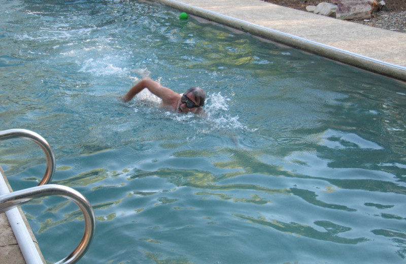 Swimming in the pool at Sarabande Bed & Breakfast.