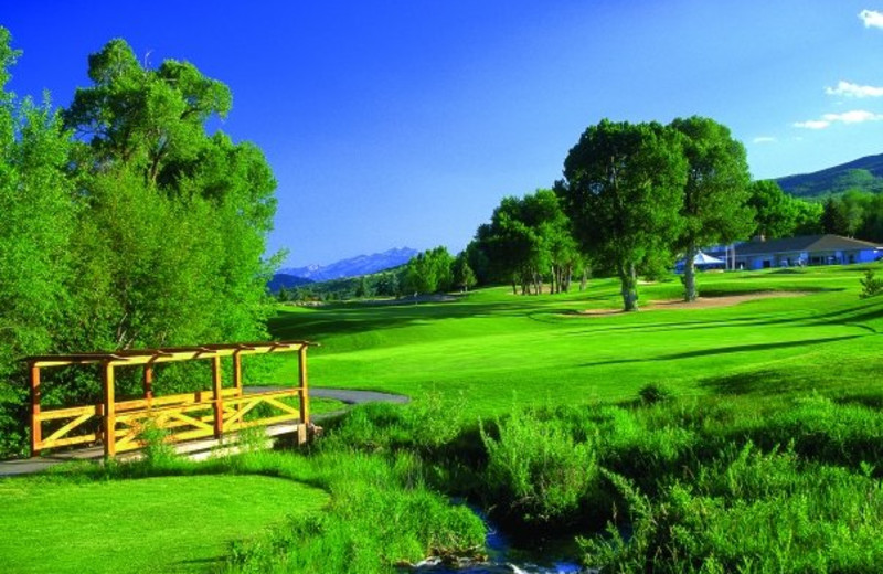 Golf course at Homestead Resort.