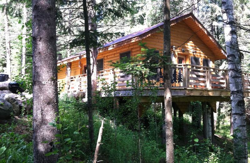 Cabin exterior at Black Lantern Resort and Retreat.