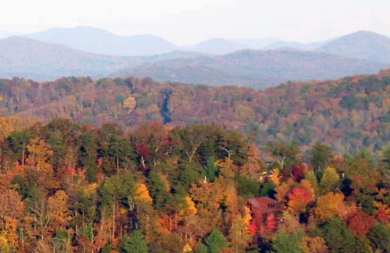 Fall colors at Black Bear Cabin Rentals.