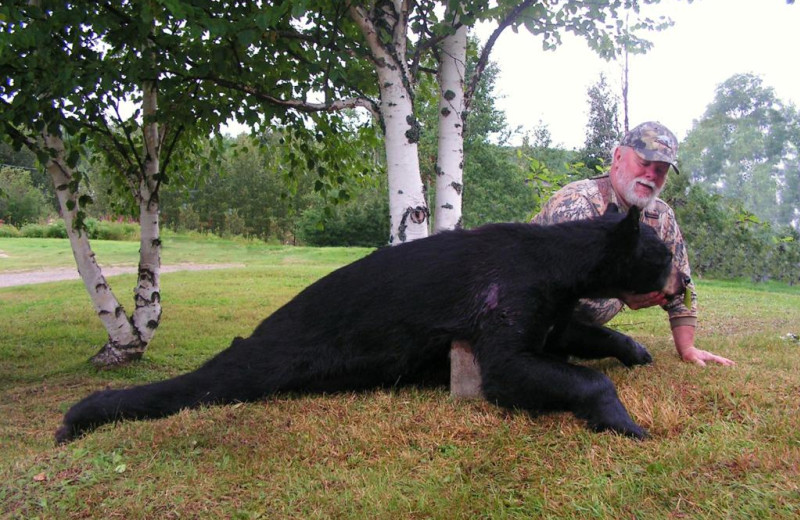 Hunting at Bay Wolf Camp.