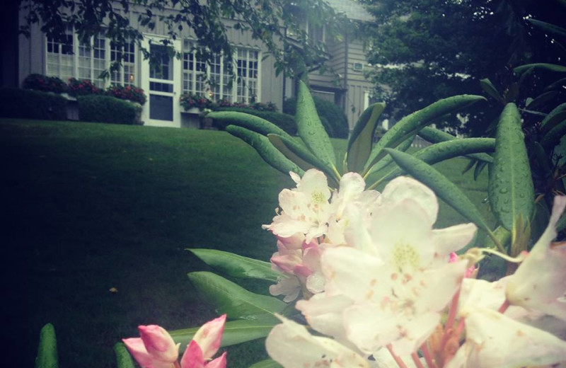 Spring at The Greystone Inn.