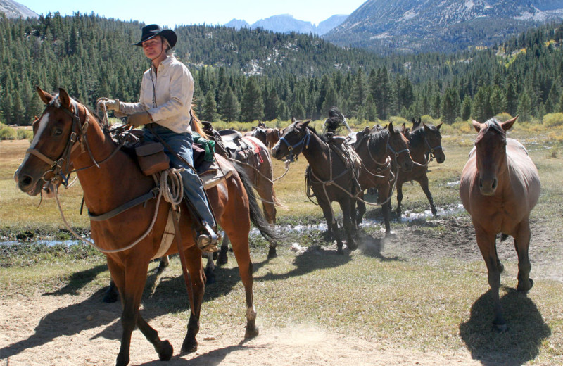 Horseback riding at Rock Creek Lodge.