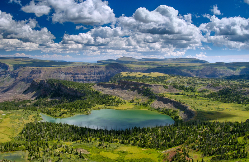 Lake view at Wild Skies Cabin Rentals.