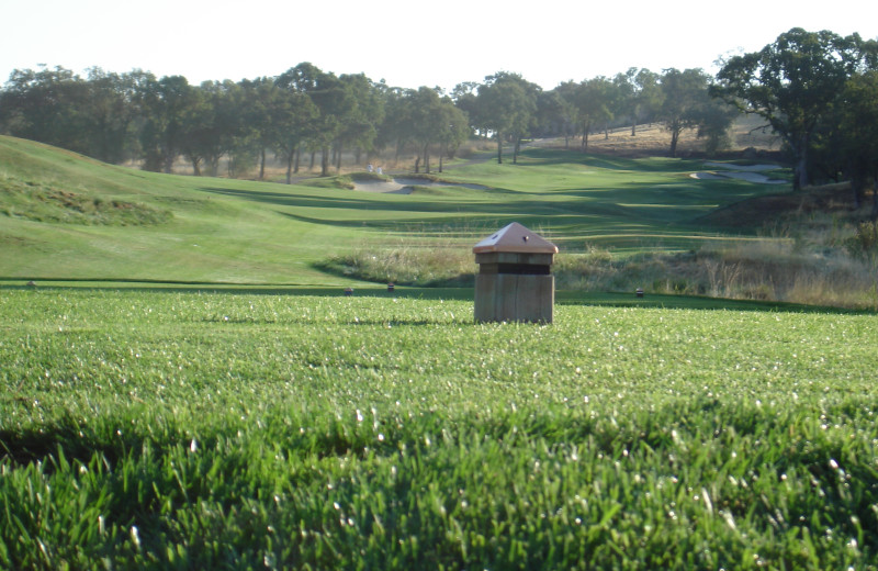 Golf course at Saddle Creek Resort.