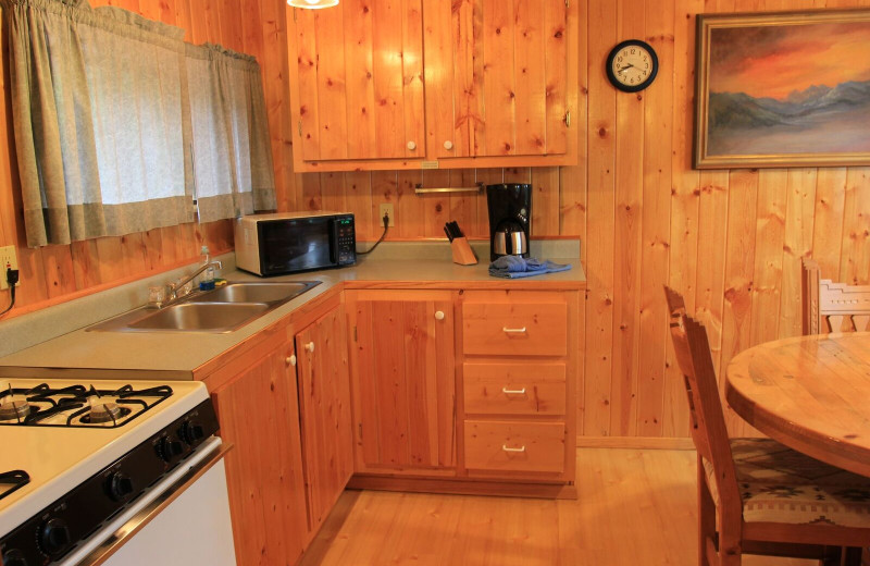 Cabin kitchen at Pine River Lodge.