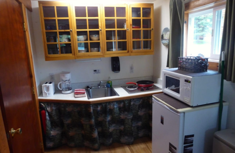 Cabin kitchen at Kenai River Drifter's Lodge.