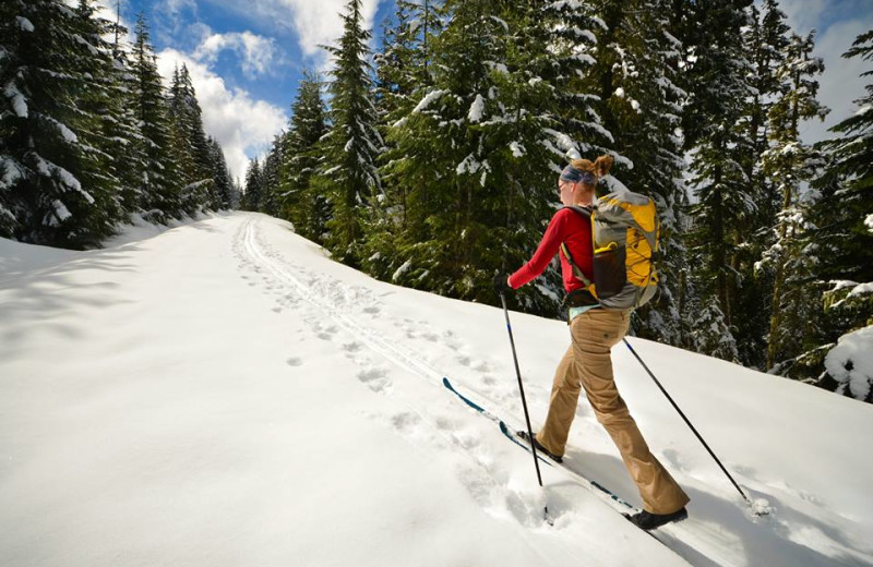 Skiing near Grizzly Jacks Grand Bear Resort.