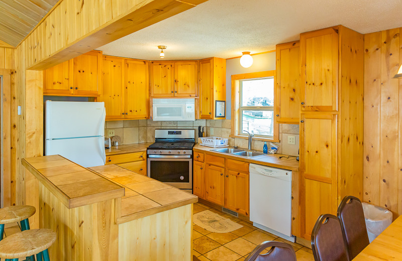 Cabin kitchen at Ten Mile Lake Resort.