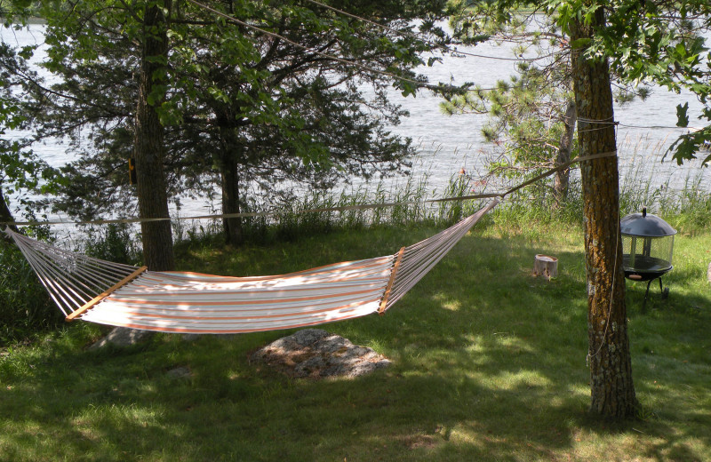 Hammock at Sams Island Cabin.