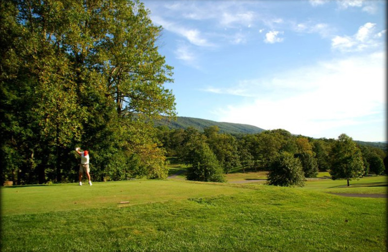 Golfing at The Homestead.