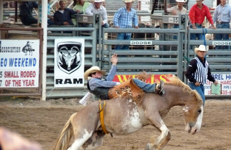 Rodeo near West 1077 Guest Ranch.