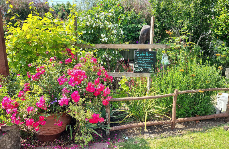 Garden at San Benito House.