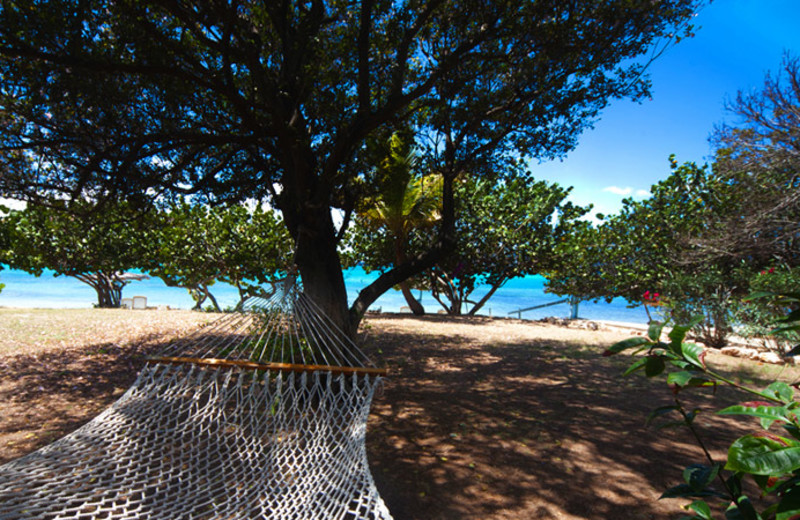 Beach at Fischers Cove.