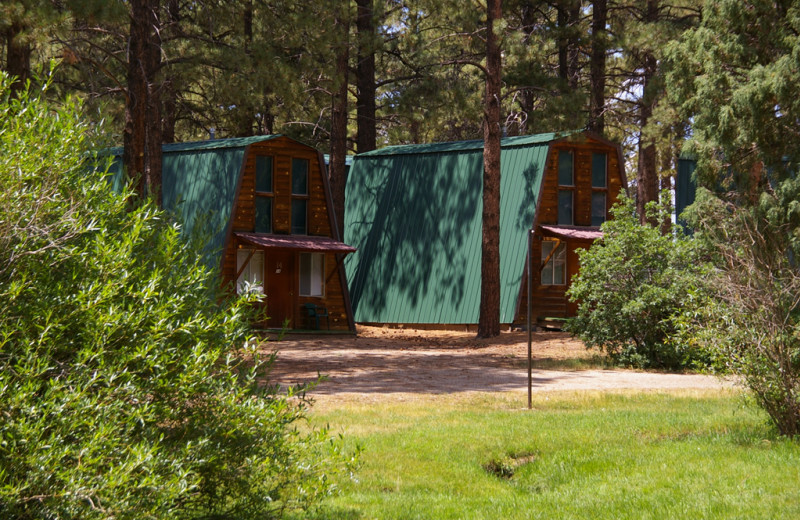 Cabin exterior at Echo Basin Cabin And RV Resort.