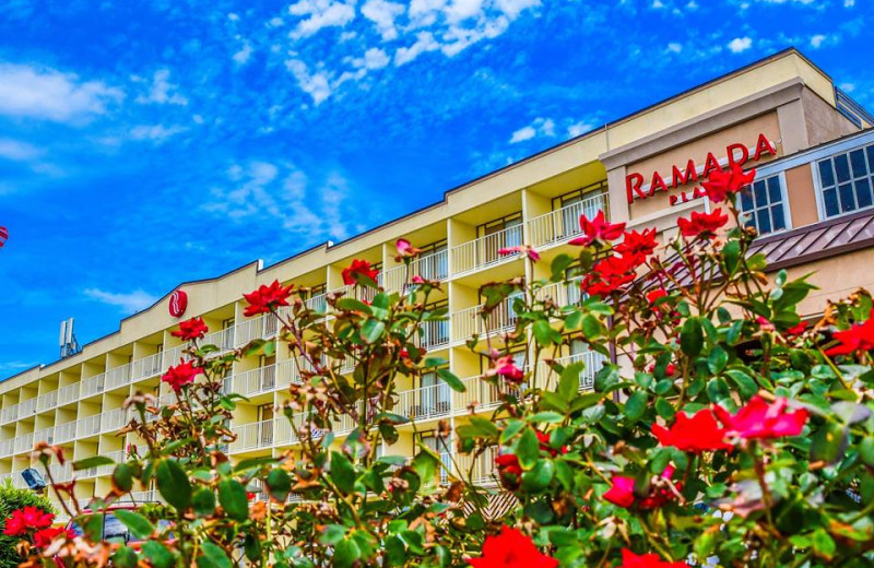 Exterior view of Ramada Plaza Nags Head Oceanfront.