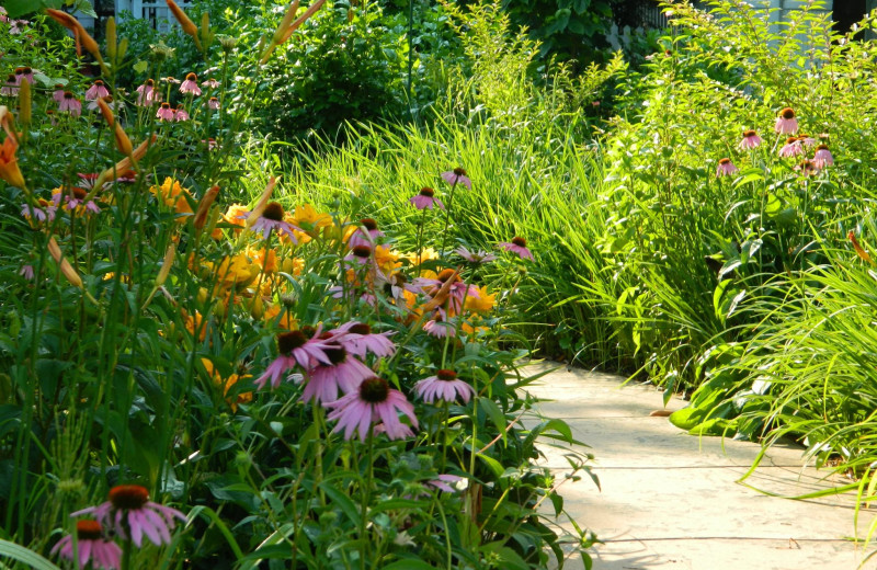 Garden at E J Bowman House B 