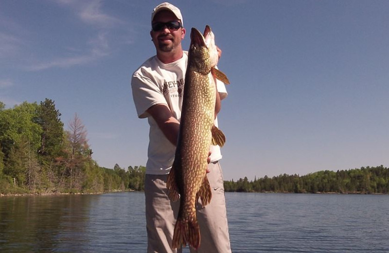 Fishing at Muskie Bay Resort