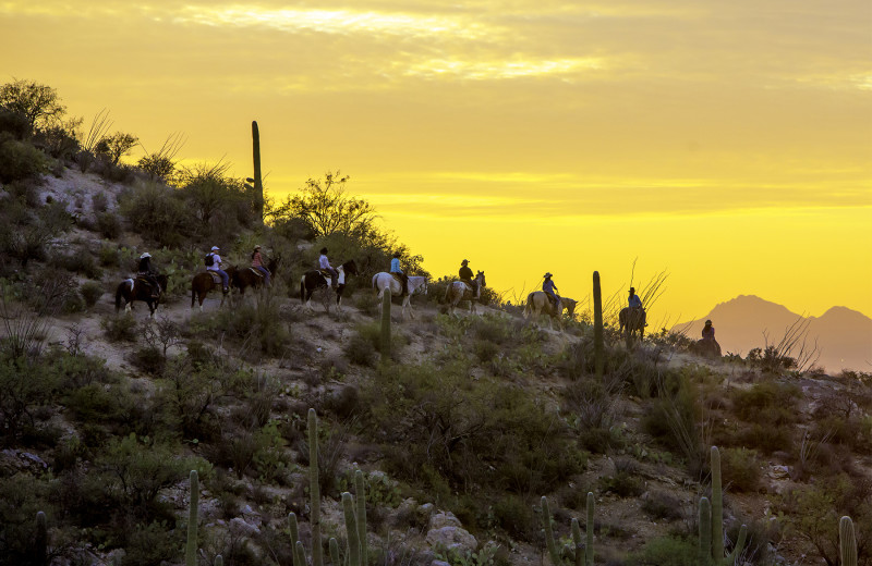 Scenic views of Tanque Verde Ranch.