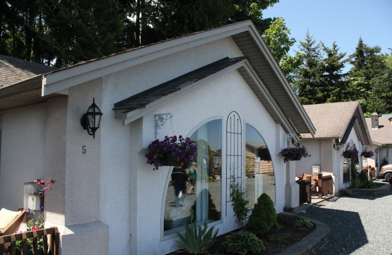 Cottages at Shady Shores Beach Resort.