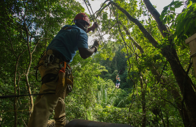 Zip line at Jaguar Paw Resort.