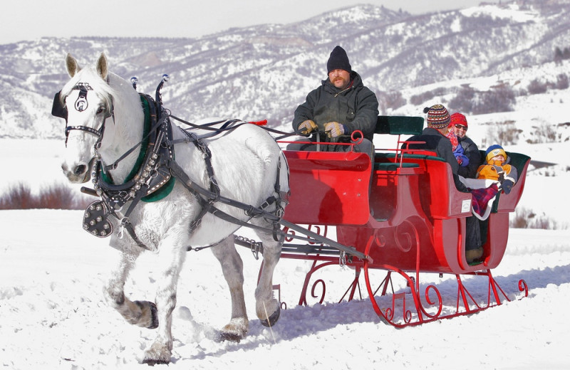 Sleigh ride at The Bella Vista Estate.