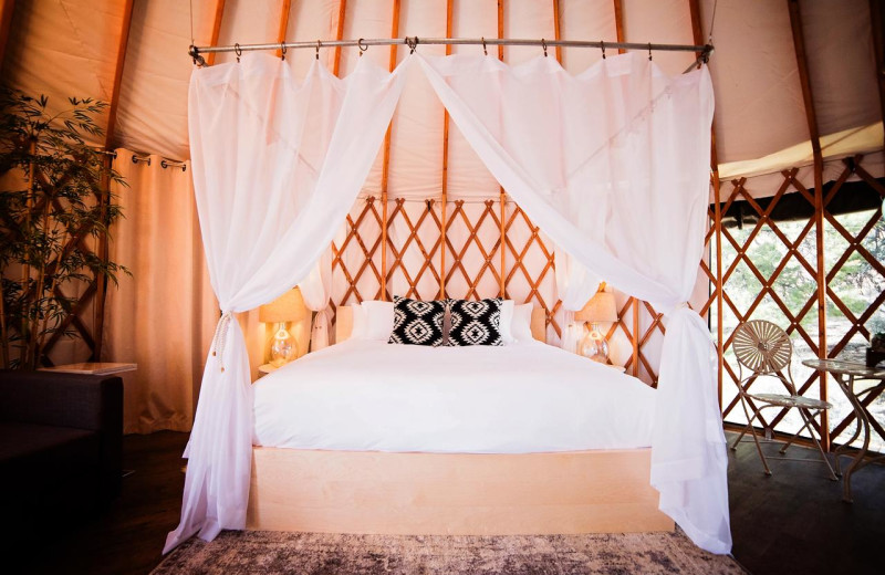 Guest bed at Escalante Yurts.