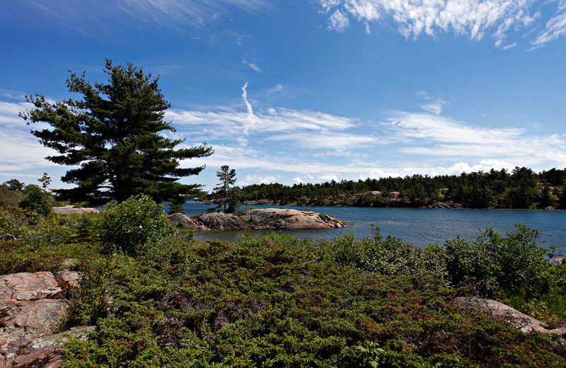 Scenic view at Killarney Mountain Lodge.