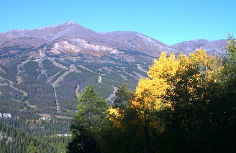 Mountains at Alpine Meadows Management.