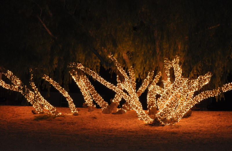 Wedding decor at Willow Point Resort.