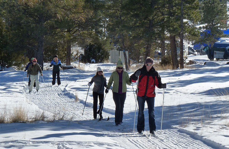 Cross country skiing at Flaming Gorge Lodge.