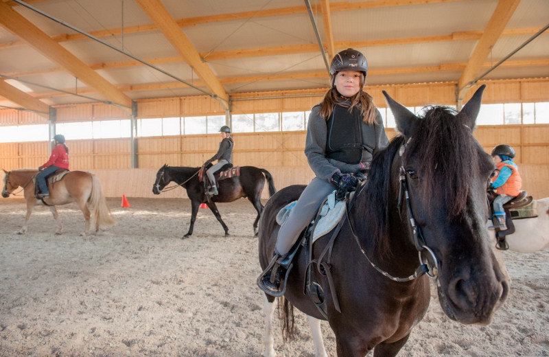 Horseback riding at Hotel Landhaus Zur Ohe.