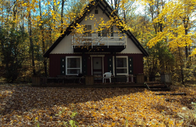 Cabin at Maple Terrace Resort