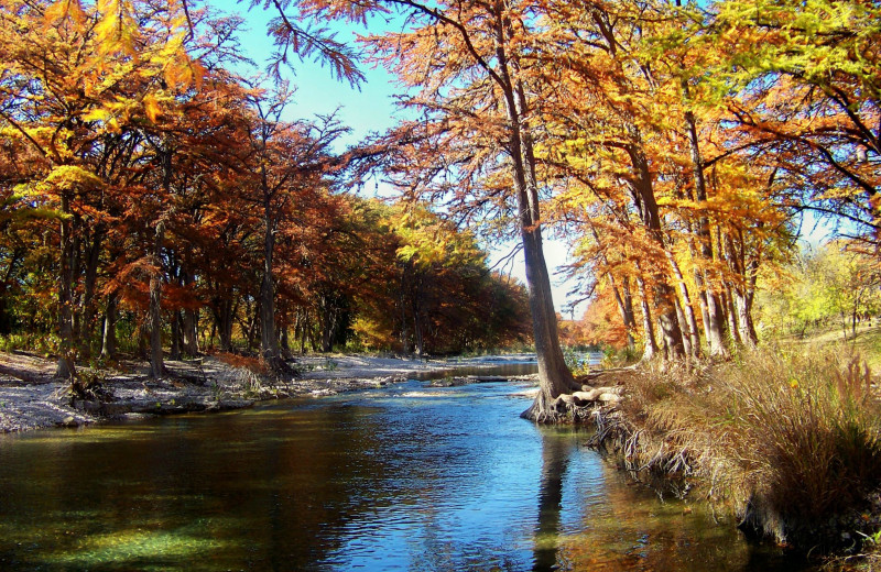 River view at River Haven Cabins.