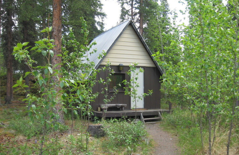 Cabin exterior at Denali Perch Resort.