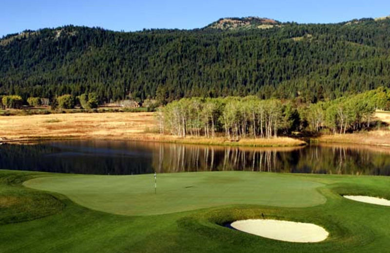 Golf course near The Ashley Inn.