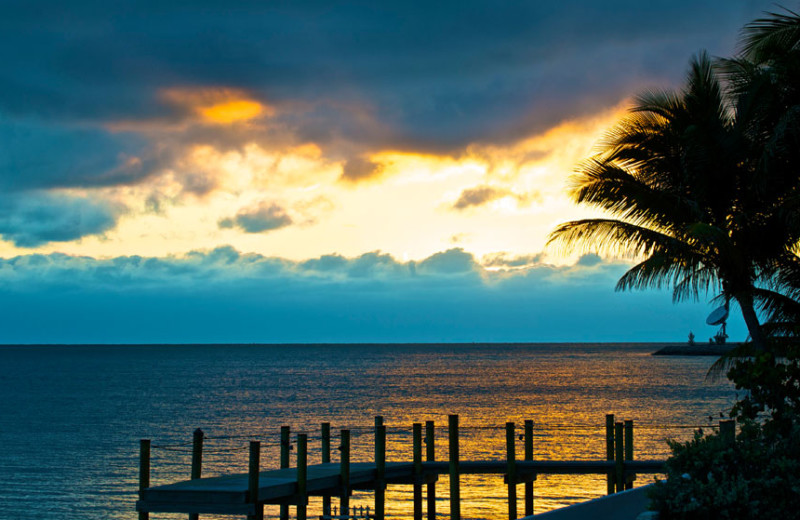 Scenic view at The Southernmost House.