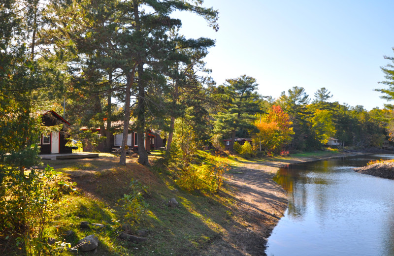 Cabins at Wolseley Lodge.