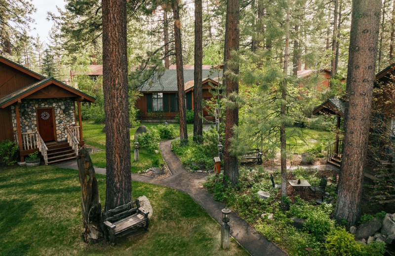 Cabins at Black Bear Lodge.