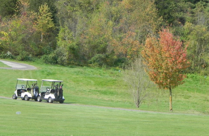 Golf course at Shenvalee Golf Resort.