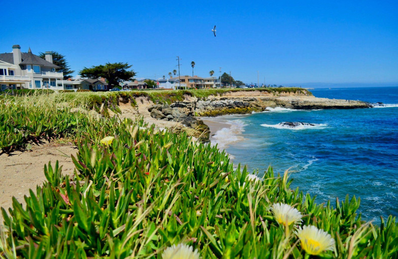 Coast at Captain's Inn At Moss Landing.