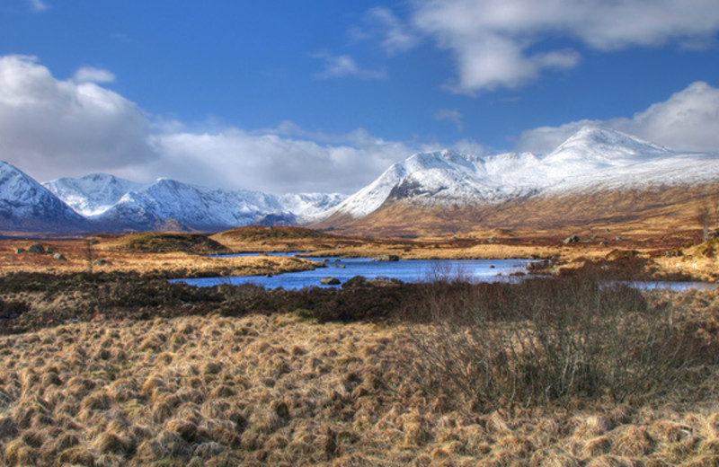 Area surrounding West Highlands.