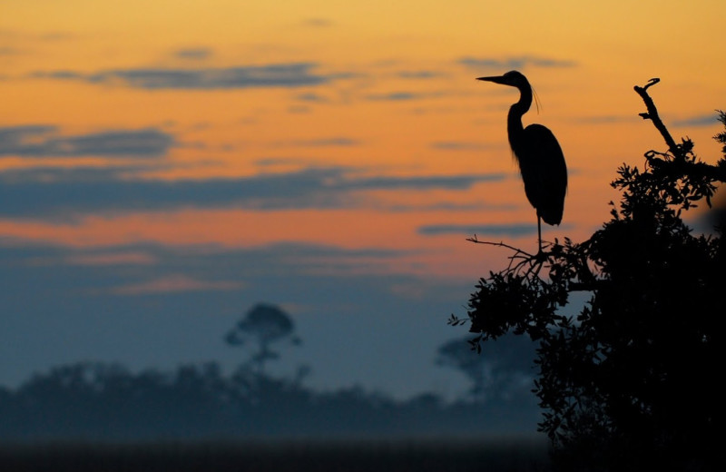 Sunset at Days Inn & Suites Jekyll Island.